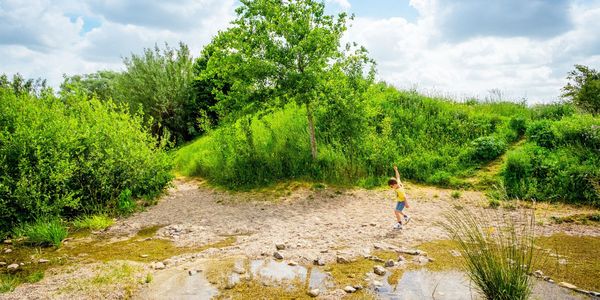 Beeld van een natuurlijk speelterrein in het Park van Eden.